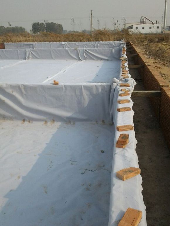 �ͺ�Ĥź�جF������